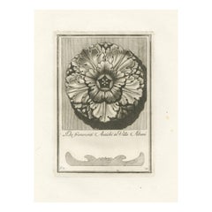 Antique 1780s Villa Albani-inspired Rosette Engraving