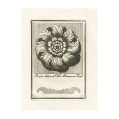 Antique Original Roman Rosette Engraving from Tivoli Villa Adriana, Plate 45