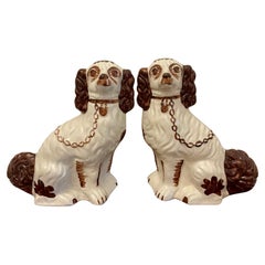 Paar antike Staffordshire-Hunde in edwardianischer Qualität
