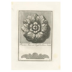 Ancient Rosette in the Temple of Jupiter the Stayer, 1780