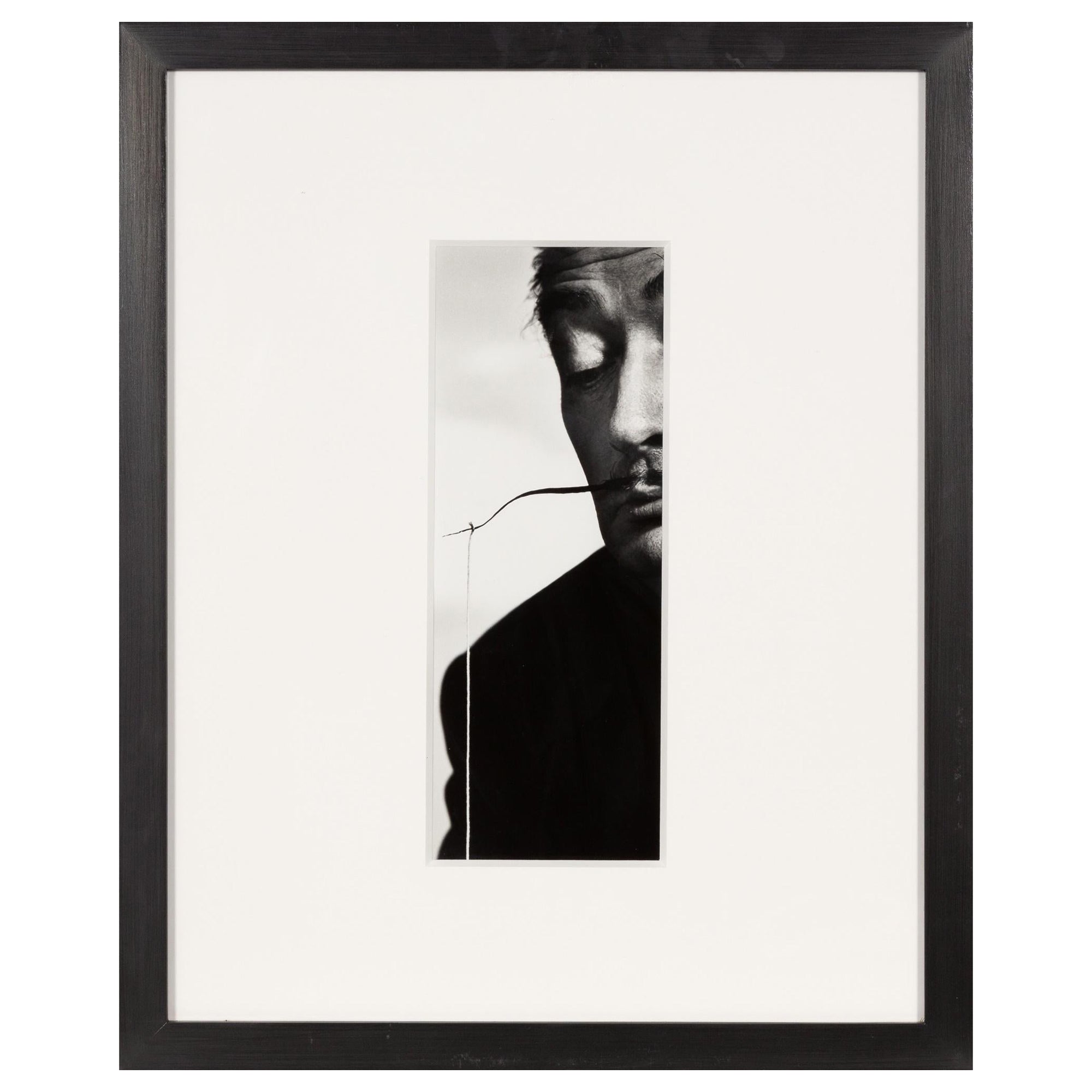 Photographie Dali encadrée par Philippe Halsman en vente