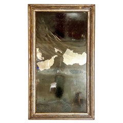 19th Century Italian Silver Gilt Mirror