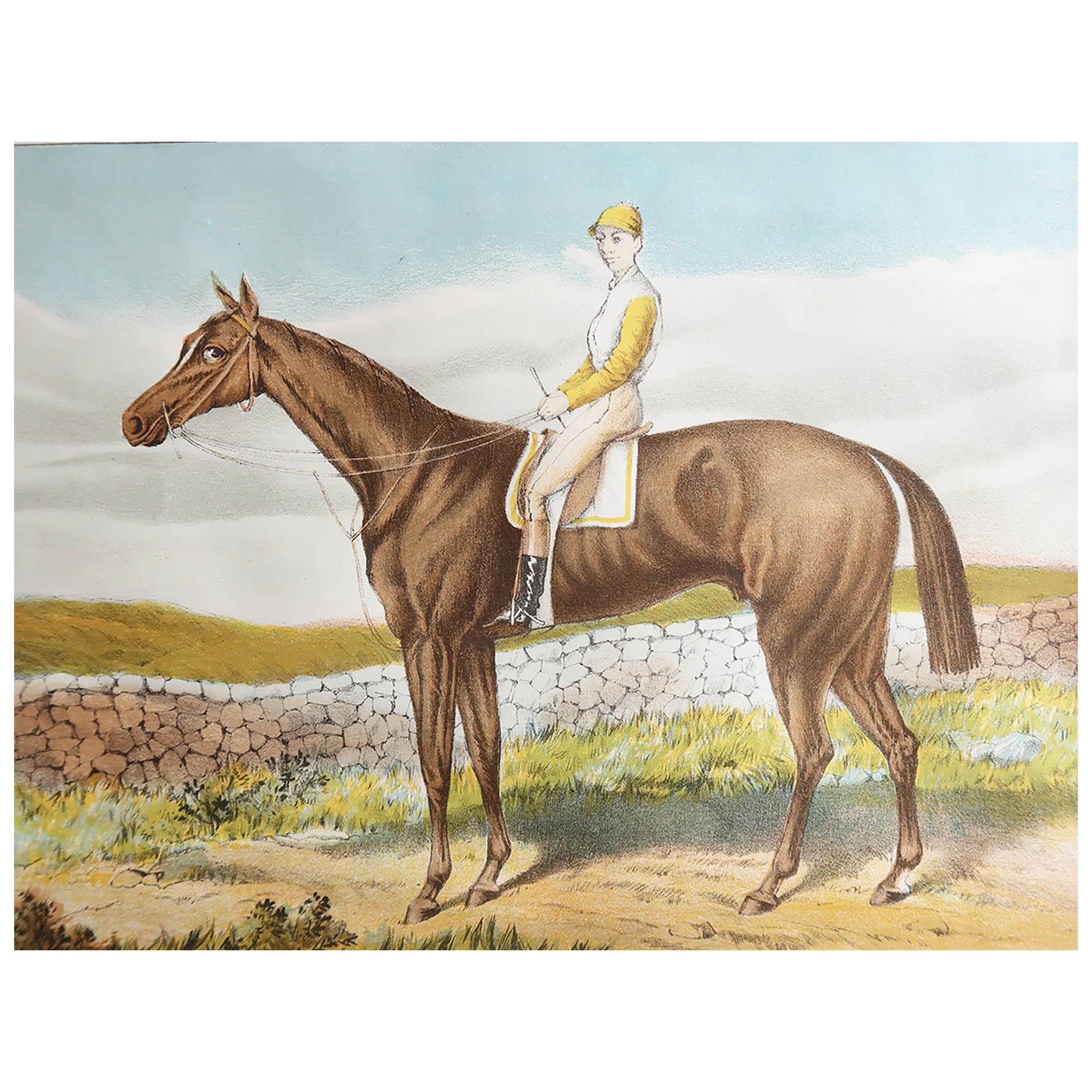 Original Antique Print of The Racehorse " Harvester " C.1890  For Sale
