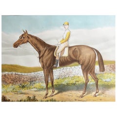 Grabado original antiguo de El caballo de carreras " Cosechador " C.1890 