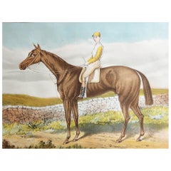 Original Antique Print of The Racehorse " Harvester " C.1890