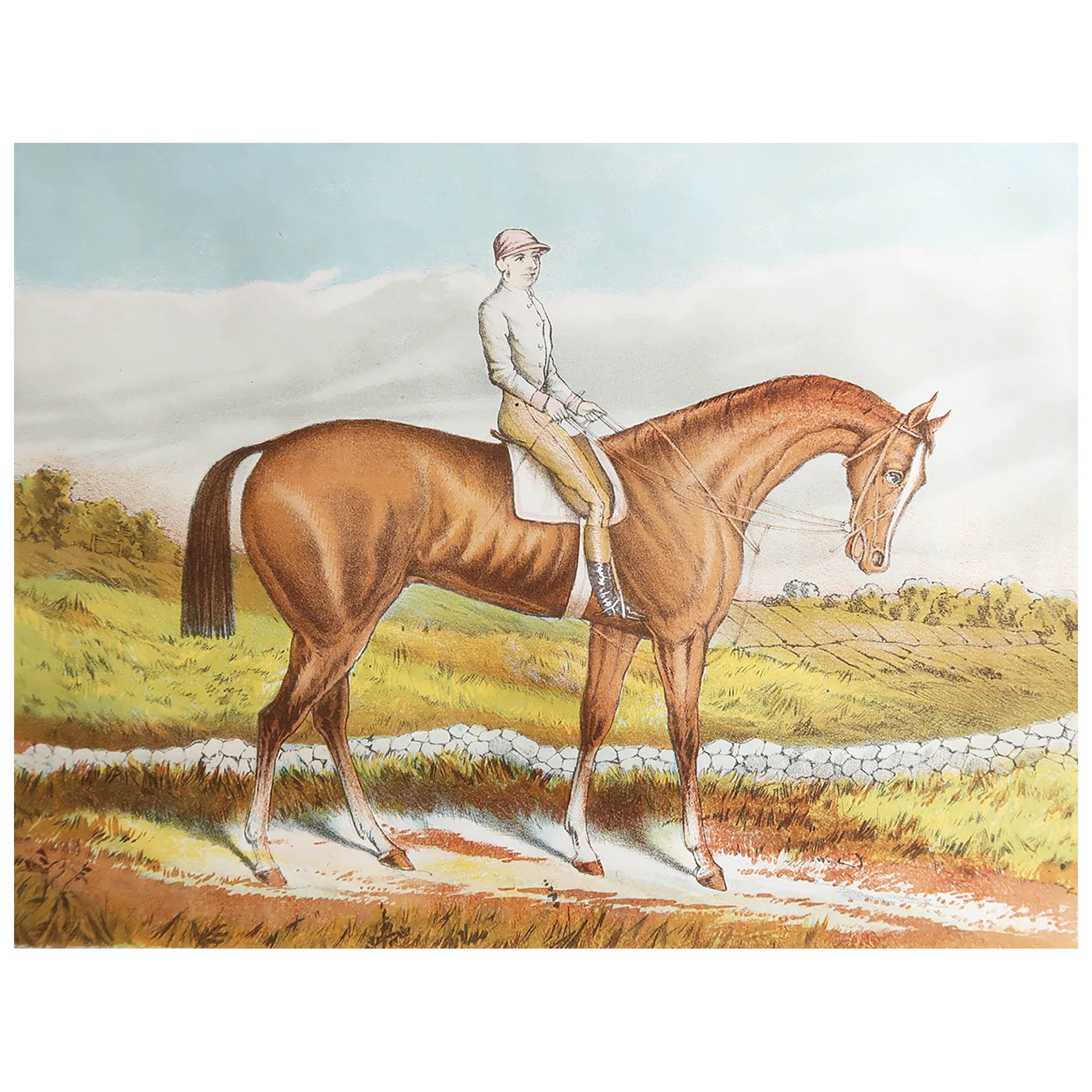 Original Antique Print of The Racehorse " St. Gatien " C.1890 