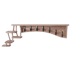 Used Ash Cirrus Coat Rack, Modern Wall Mounted Hooks and Shelves by Arid