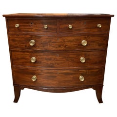 19th Century Federal American Two Over Three Bow Front Chest In Mahogany
