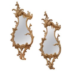 Pair of English Carved Rococo Cartouche Shaped Looking Glasses