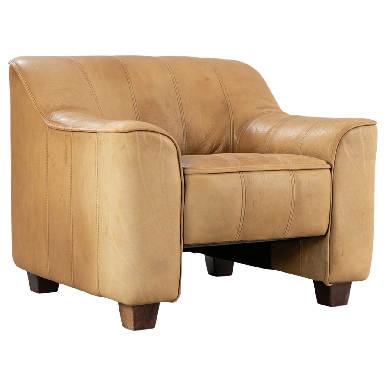 Ds 44 armchair in buffalo leather by desede For Sale