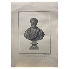 Contemporary Italian Hand Printed Antique Roman Emperor Bust " Settimio Severo"
