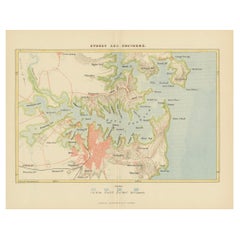 Antike Karte von Sydney und den umliegenden Gebieten, bekannt als Port Jackson, 1889