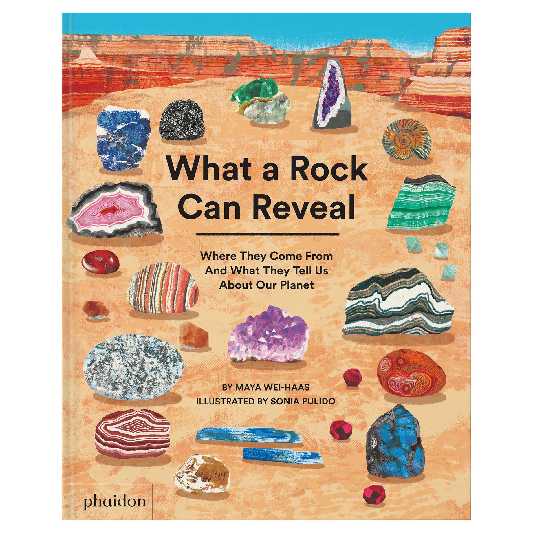 Ce qu'un rocher peut révéler en vente