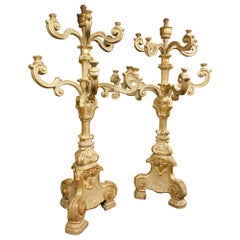 Antique pair of big gilded and carved wooden candlesticks, Florence (Italy)