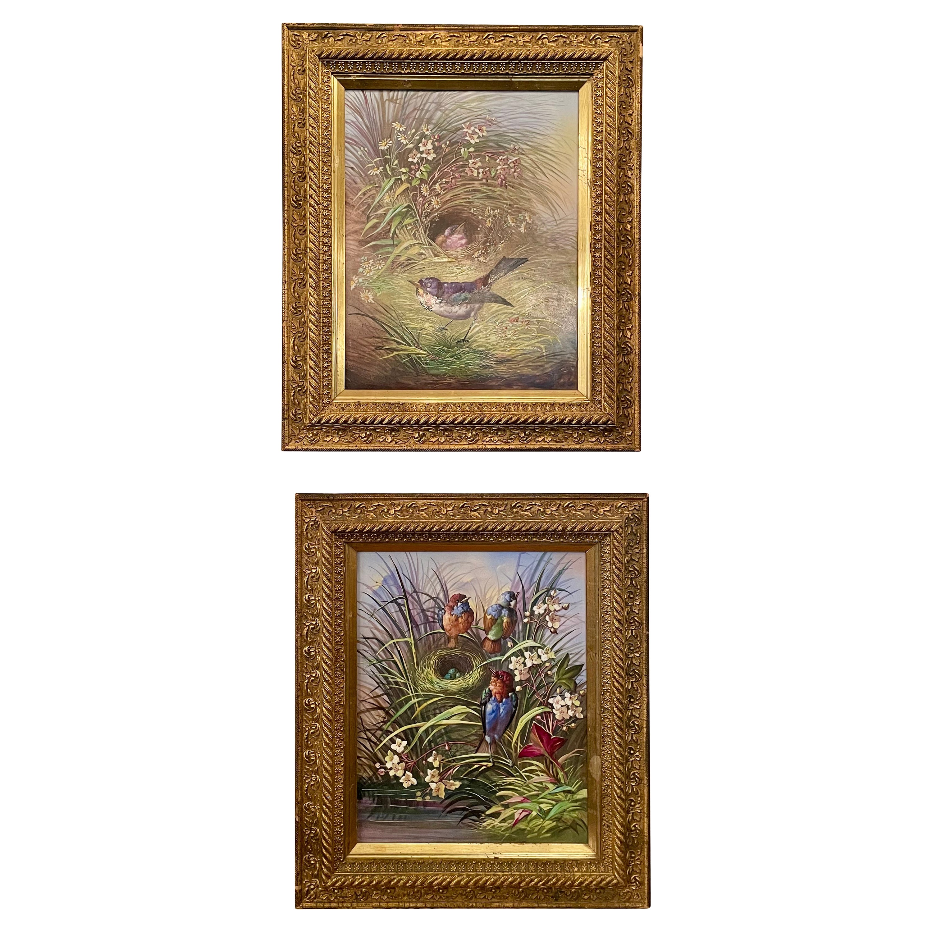 Estate Pair of Framed Bird Paintings on Porcelain, Circa 1930's-1950's. For Sale