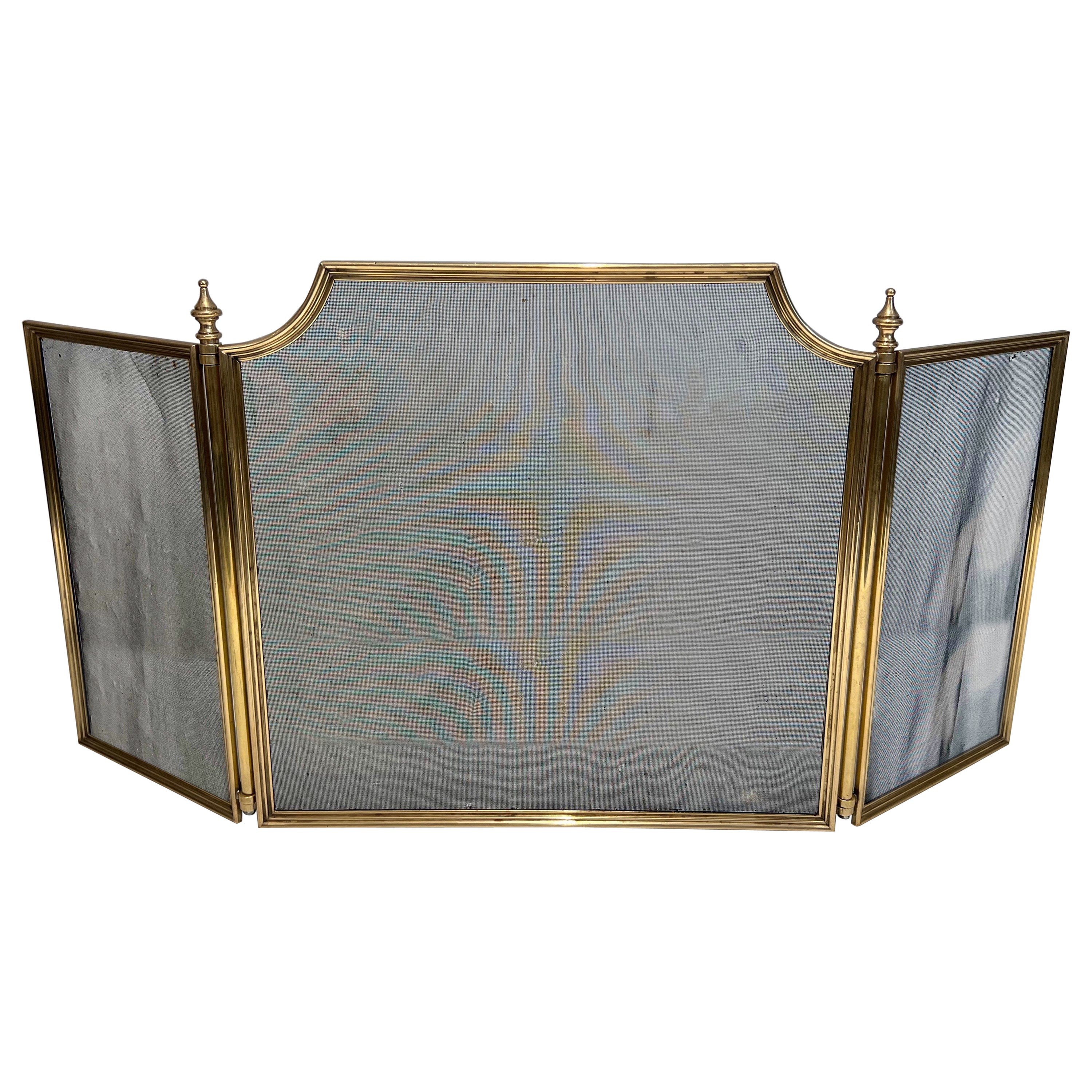 Neoclassical Style Brass and Grilling Fireplace Screen  For Sale