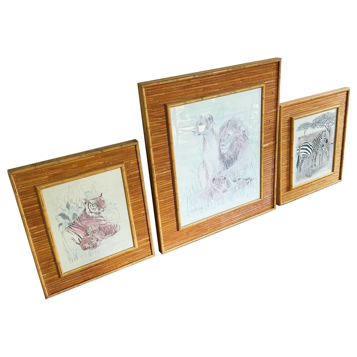 Boho Chic Faux Bamboo Rattan Framed Animals Prints - 3 Pieces For Sale