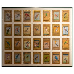 Vintage Framed Picture Composed of Twenty-Eight Hand-Painted Bird Pictures