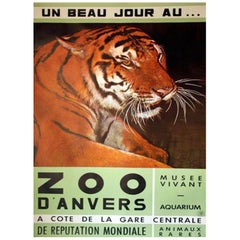 1960 Antwerp Zoo Tiger Original Vintage Poster