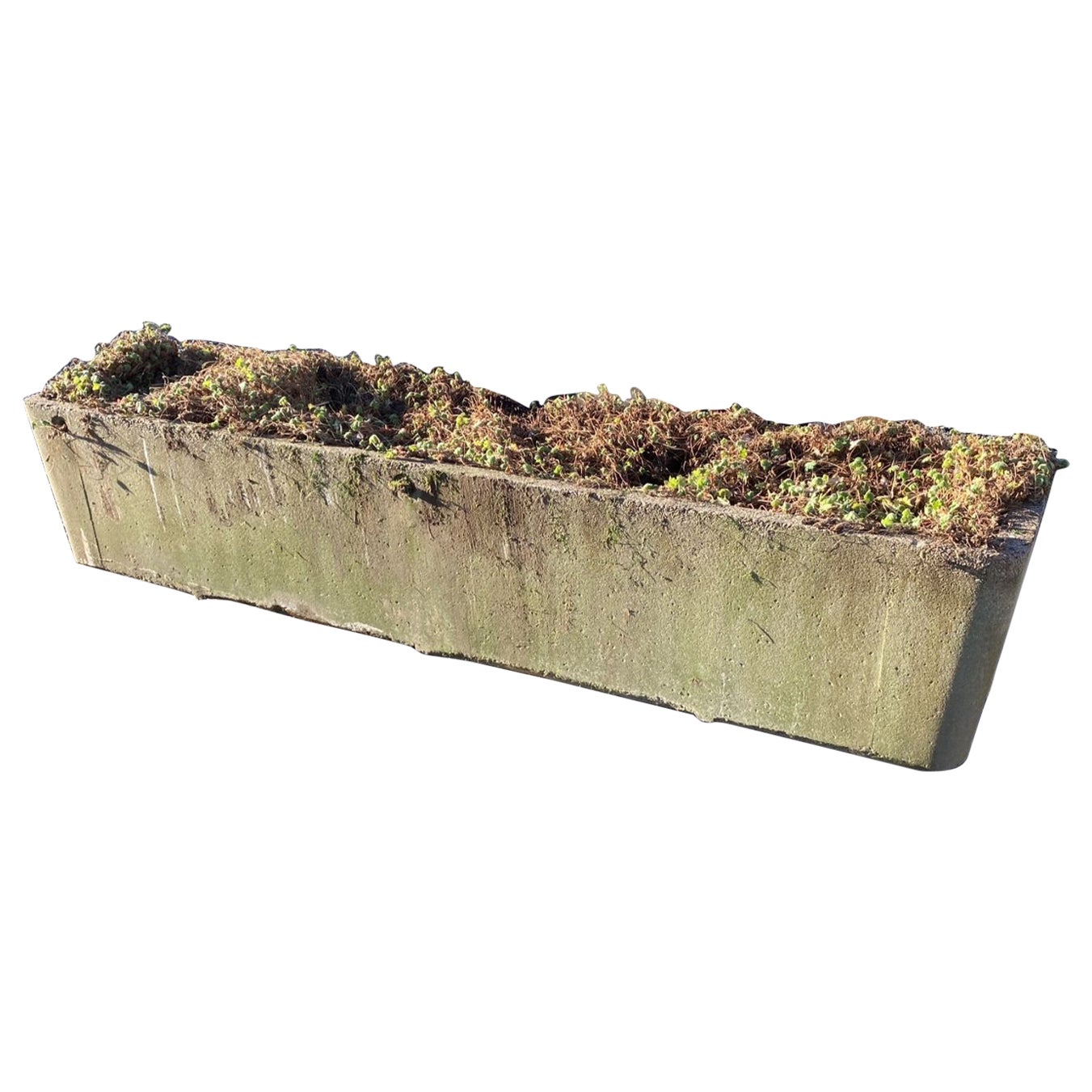 Large Scale 1970s Concrete Planter Trough in the Manner of Willy Guhl