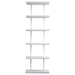 AS6 wall unit 24" wide shelves in white lacquer and powder coated steel