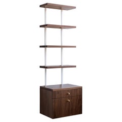 AS6 wall unit 24" wide shelves & drawer cabinet in solid walnut