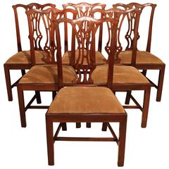 Six Mahogany Regency Dining Chairs, circa 1820