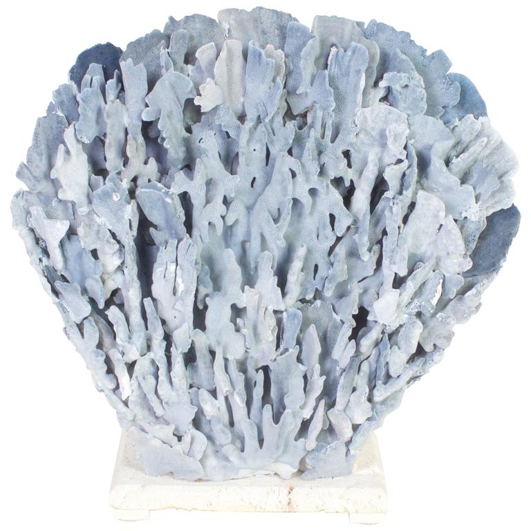 Large and Impressive Blue Coral Sculpture at 1stDibs
