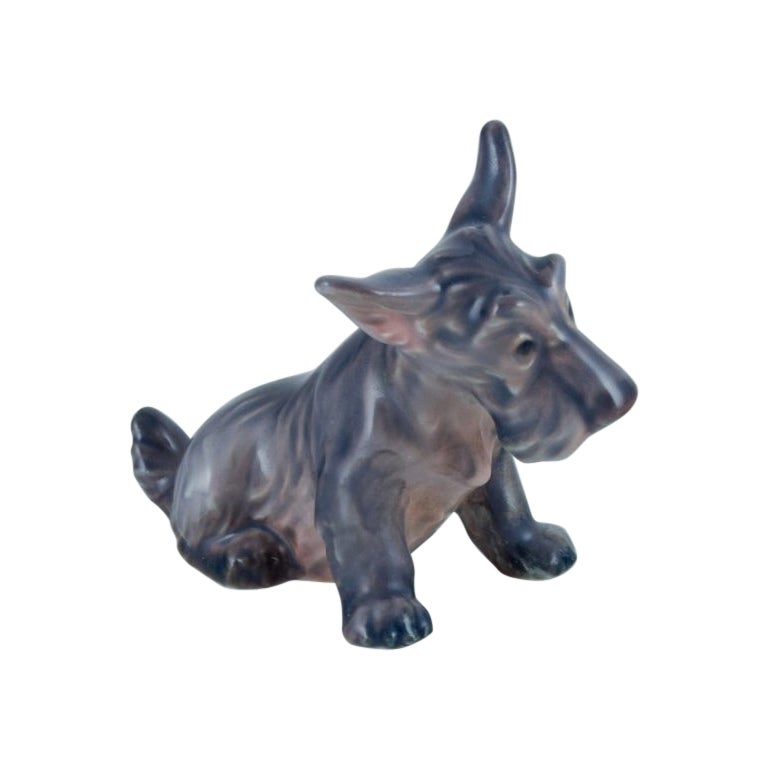 Dahl Jensen, porcelain figurine of a Scottish Terrier. For Sale