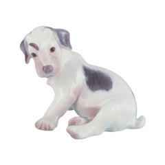 Bing & Grøndahl, porcelain figurine of a Sealyham Terrier puppy. 