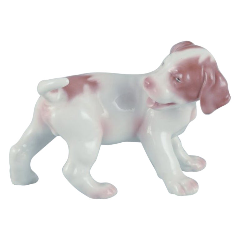 Bing & Grøndahl, figurine en porcelaine d'un chiot pointer.  en vente