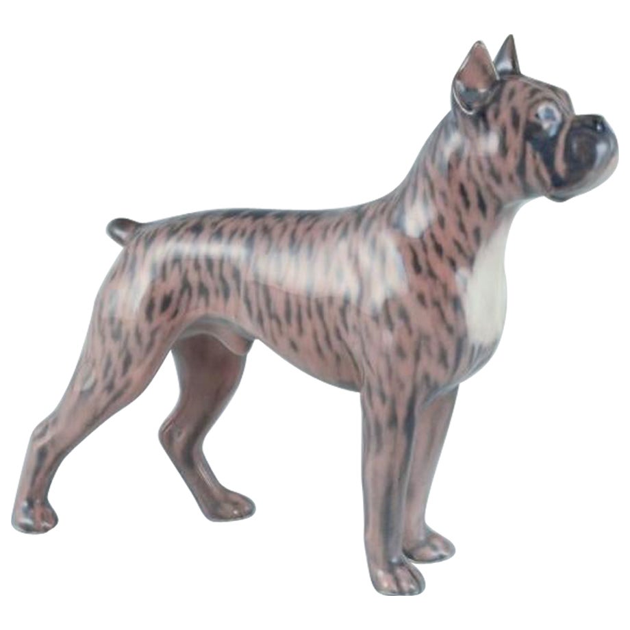 Royal Copenhagen, porcelain dog, standing boxer. Design by Holger Christensen