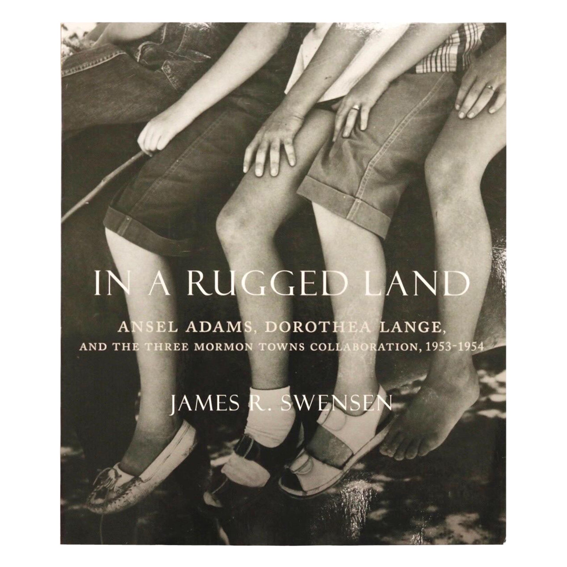 In a Rugged Land by James R. Swensen For Sale
