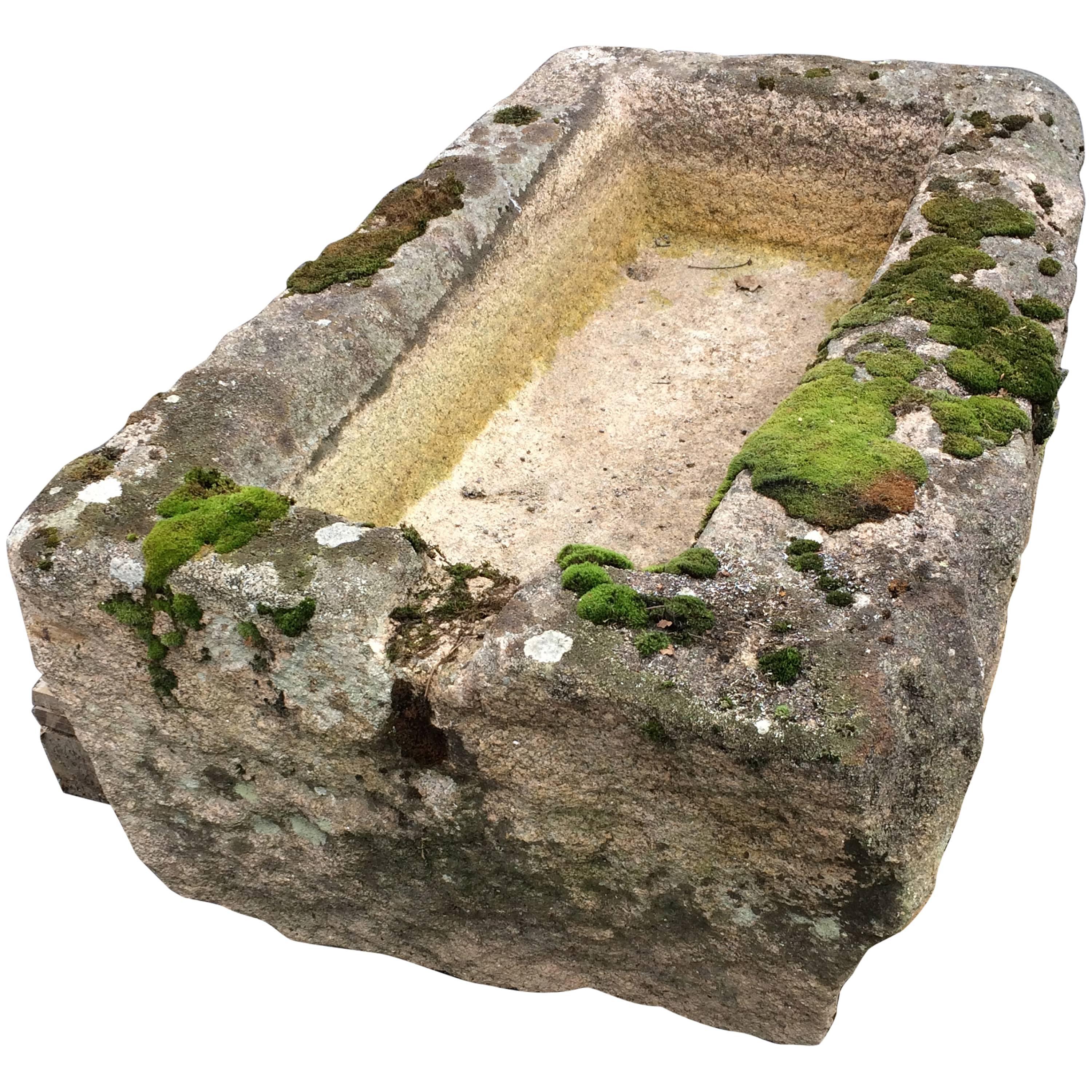 Antique French Stone Trough