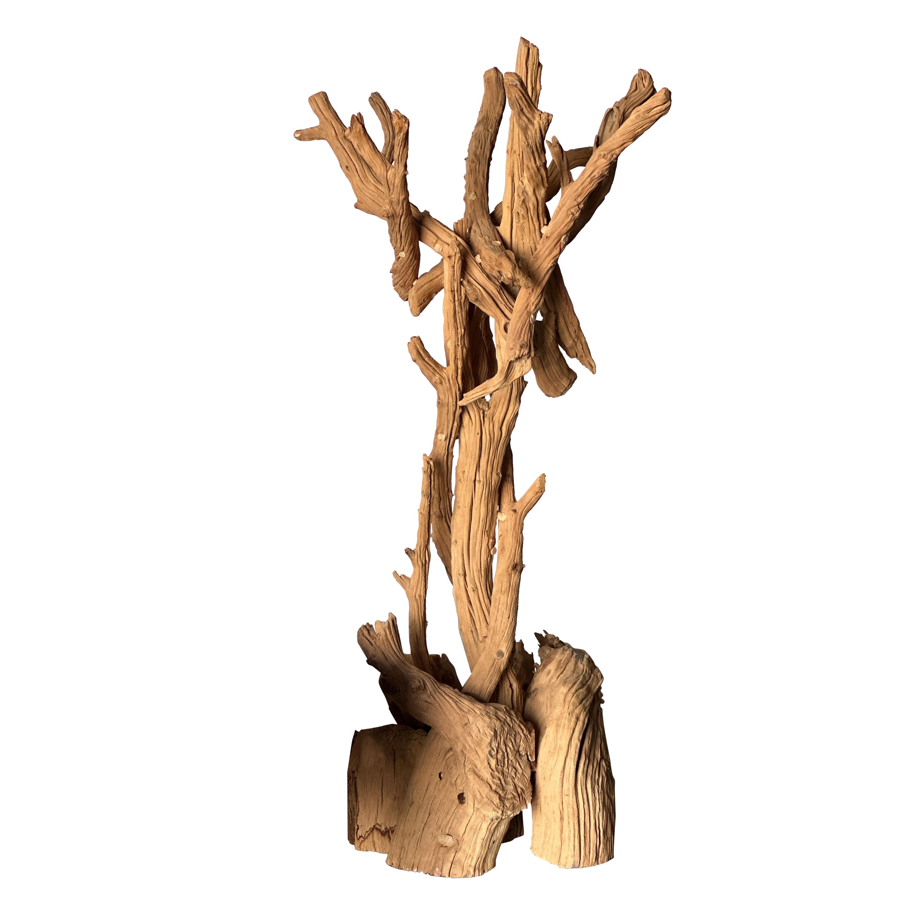 Bristlecone- Kiefernholz-Skulptur von David Spiesman, 2000