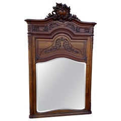 Renaissance Revival Mantel Mirrors and Fireplace Mirrors