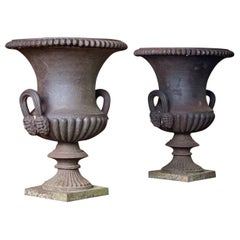 Pair Of 19th Century English Cast Iron Urns