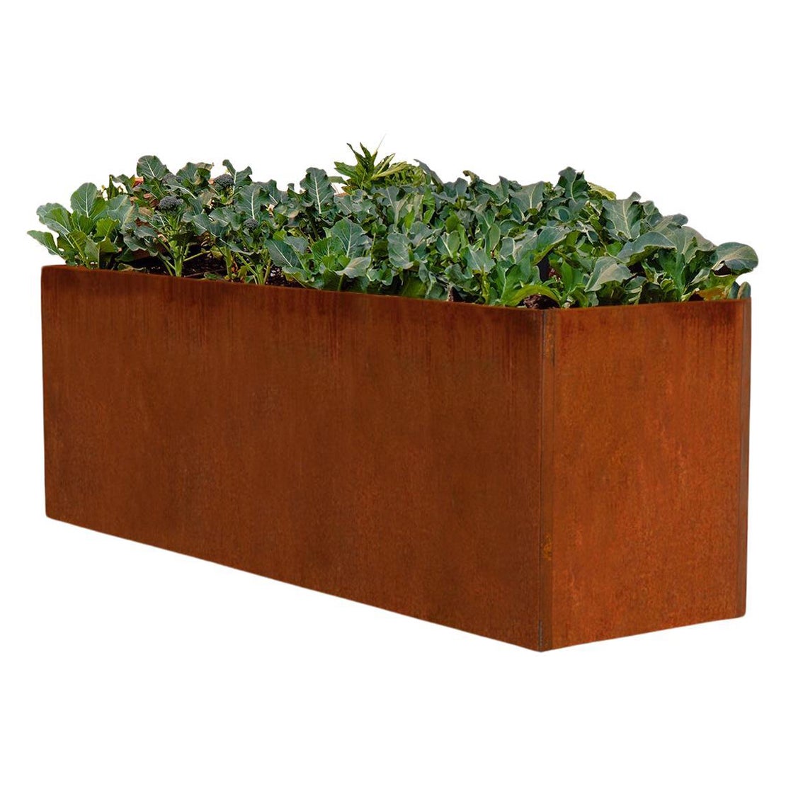 Jardinière ou boîte de jardin Edible Corten en acier (6,5' X 2' X 2,5') en vente