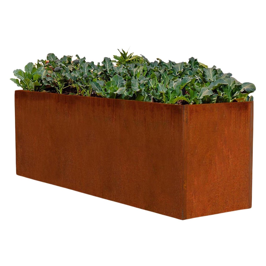 Boîte de jardin ou jardinière en acier Corten ou Edible (8' X 3' X 2,5')