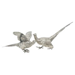 Coppia di antichi fagiani d'argento continentali, circa 1900.
