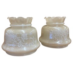 Vintage Pair of Frosted Glass Lamp Shades With Rose Motif