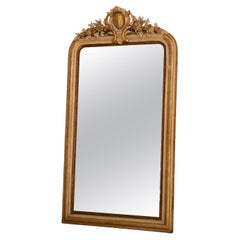 19th century antique French mirror with a crest