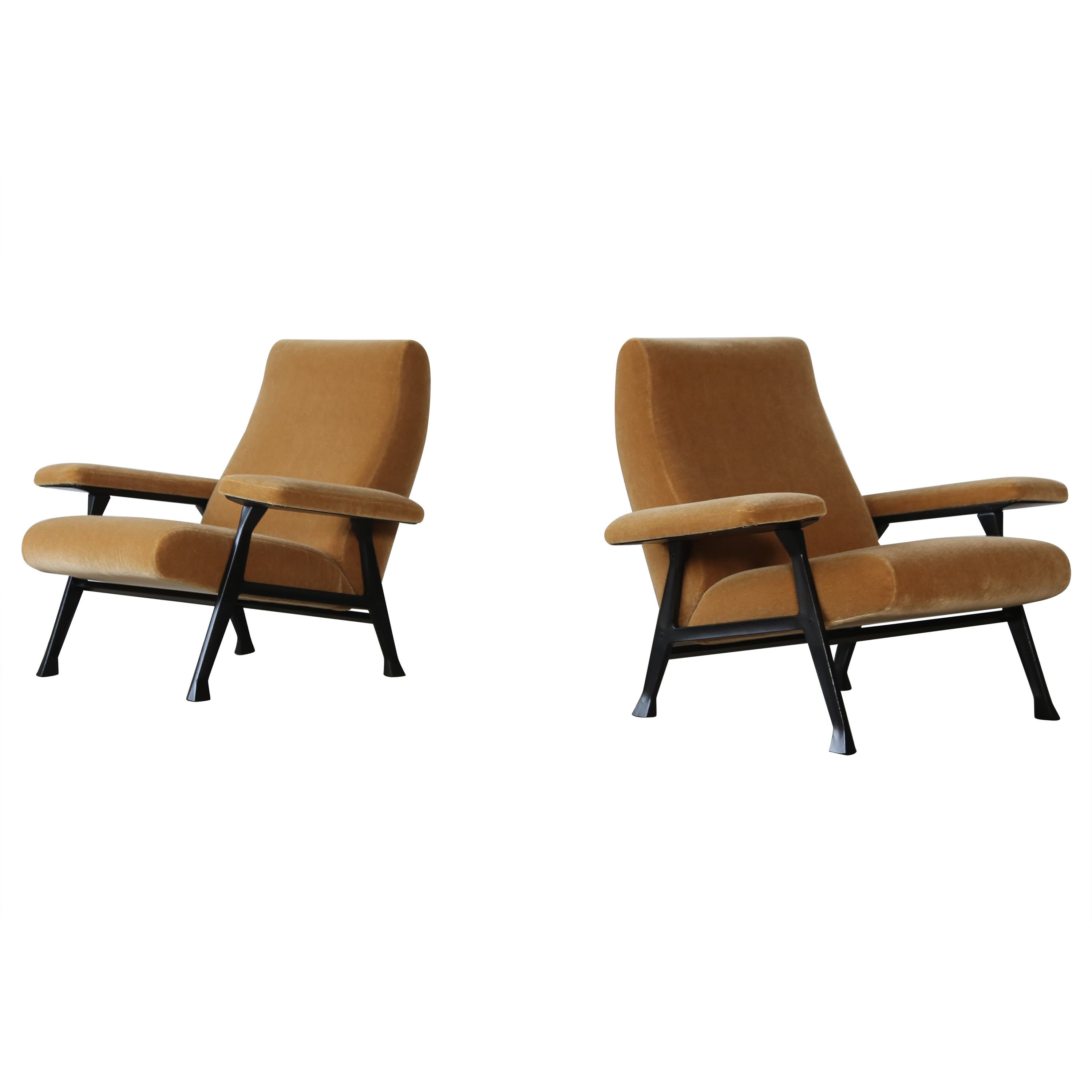 Seltenes Paar authentischer Roberto Menghi Hall Stühle aus den 1950ern, Italien, New Pure Mohair