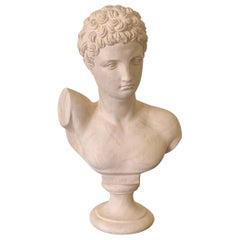 Vintage Classical Plaster Male Bust of Hermes Sculpture