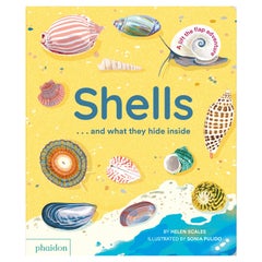 Shells... and what they hide inside