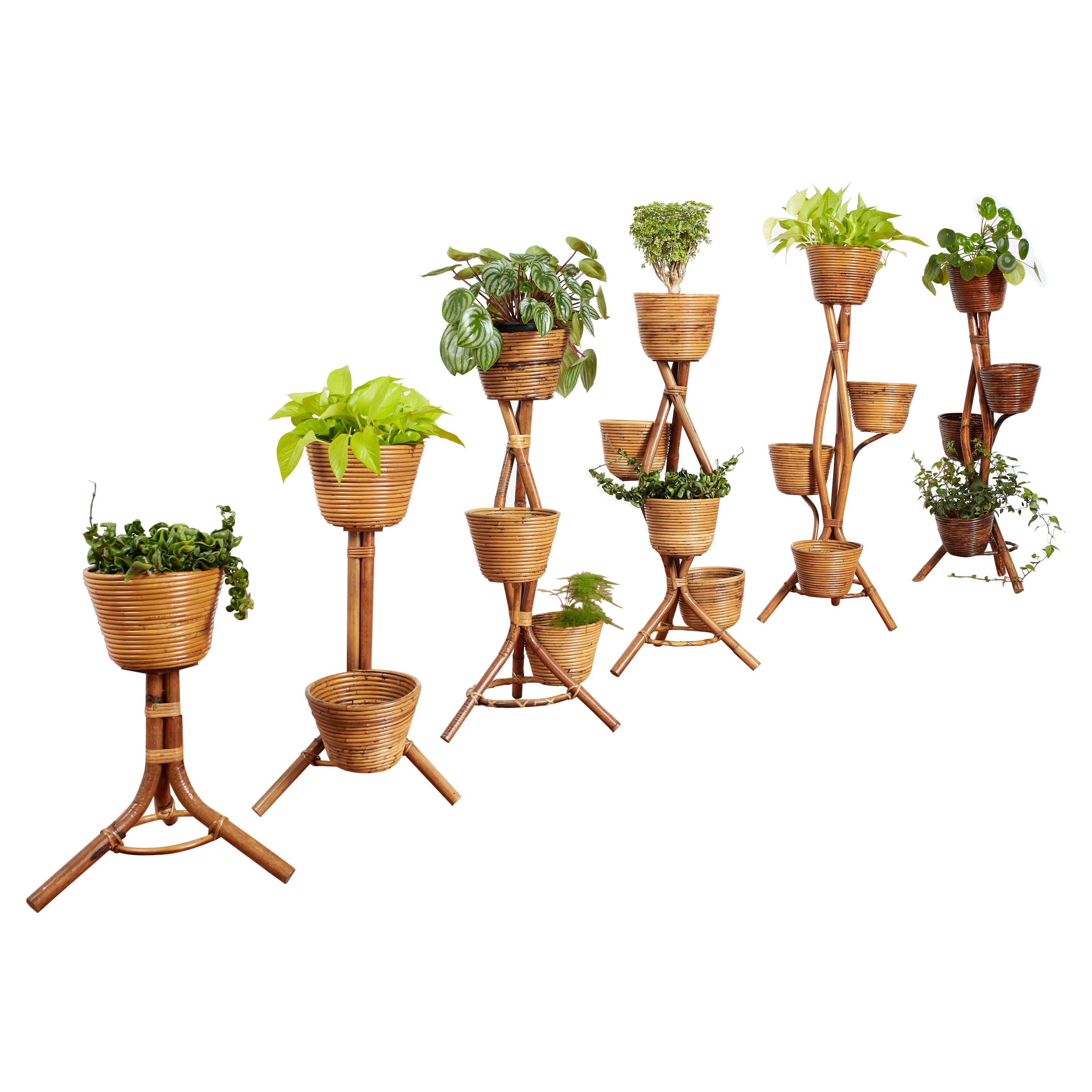 Bonacina Style Bamboo Plant Stands For Sale