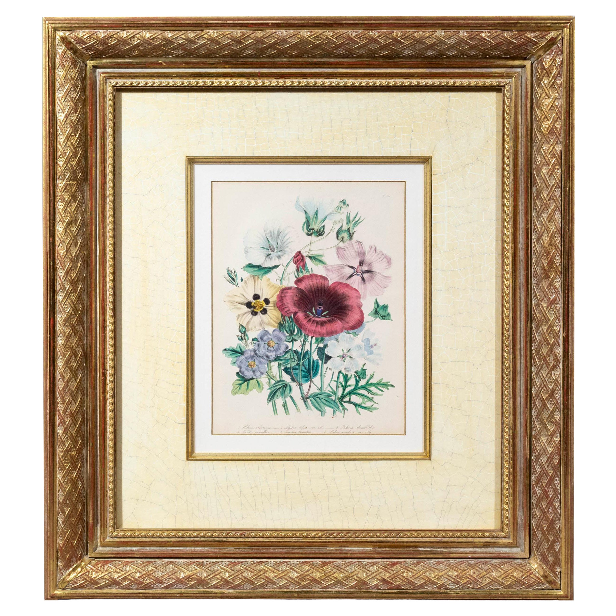 Blumengravur des 19. Jahrhunderts nach Jane Webb Loudon im Angebot