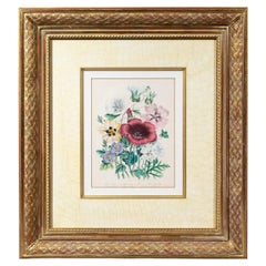 Gravure florale du 19e siècle d'après Jane Loudon