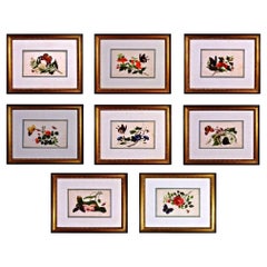 China Trade Framed Pith Paper Set of Pictures of Butterflies and Plants