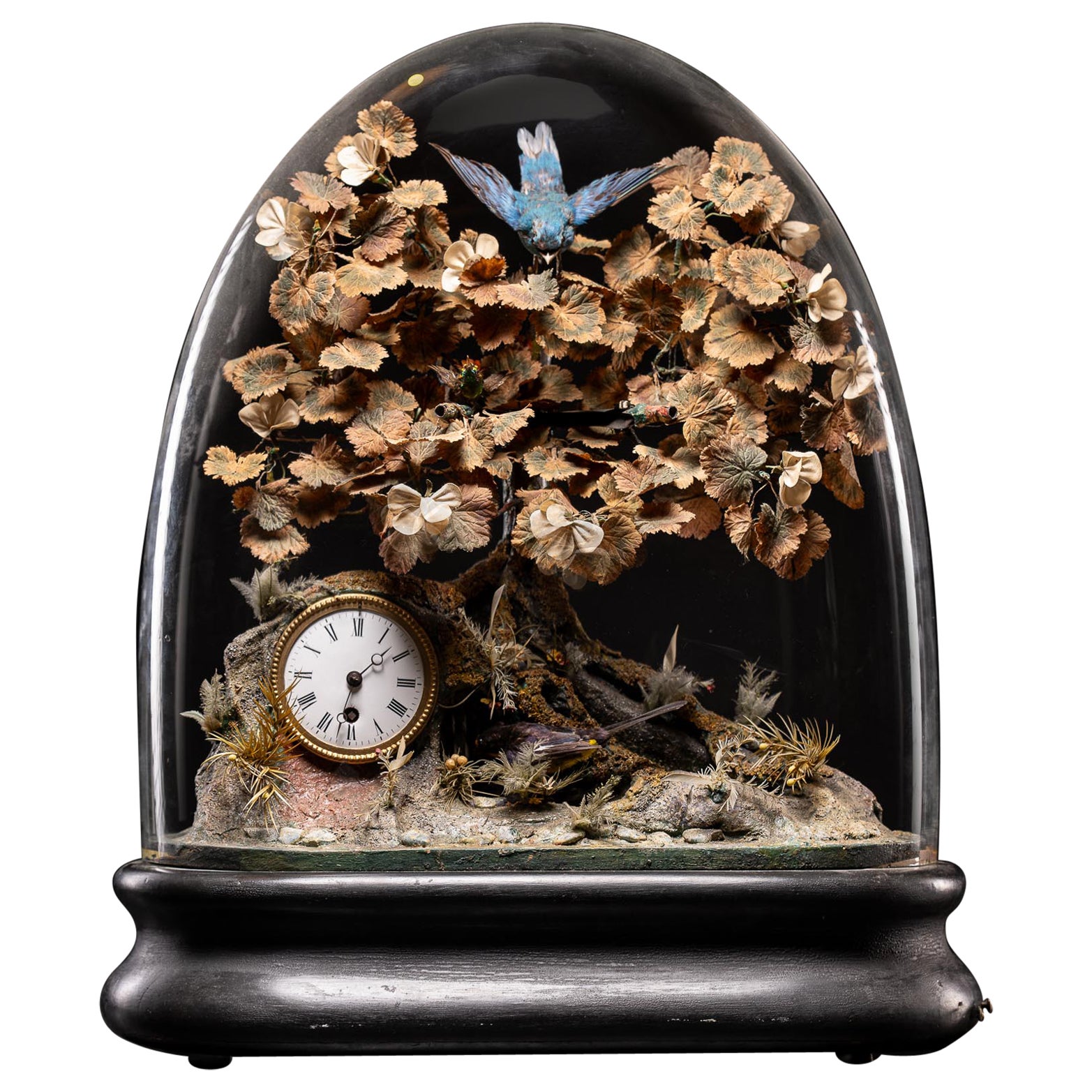 Blaise Bontems Musikalischer Automaton Singende Vögel und Uhr unter Glaskuppel im Angebot